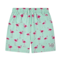 Bañadores Abercrombie Afb Core Poly Trunk