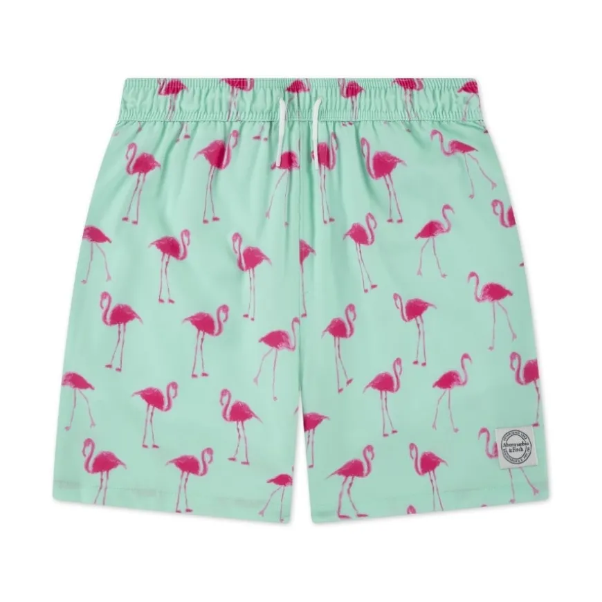 Bañadores Abercrombie Afb Core Poly Trunk