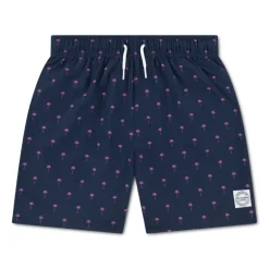Bañadores Abercrombie Afb Core Poly Trunk