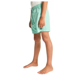Bañadores Billabong All Day Lb