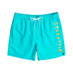 Bañadores Billabong All Day Heritage Lb