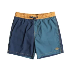 Bañadores Billabong All Day Interchange Lb Boys