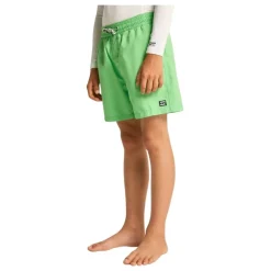 Bañadores Billabong All Day Lb