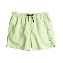 Bañadores Billabong All Day Heritage Lb SMU