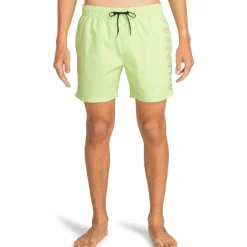 Bañadores Billabong All Day Heritage Lb SMU