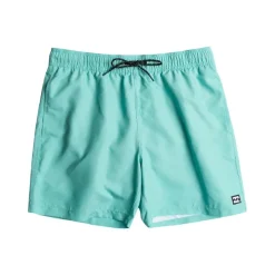 Bañadores Billabong All Day Lb