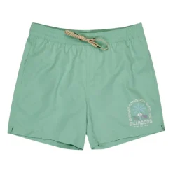 Bañadores Billabong SMU Foundation Lb