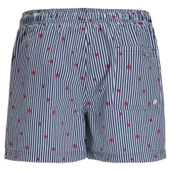 Bañadores Jack & jones Jpstmaui Jjswim Mini Stripe Akm Sn