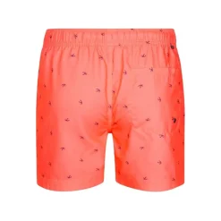 Bañadores Petrol Men Swimshort