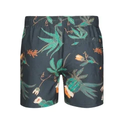 Bañadores Petrol Men Swimshort