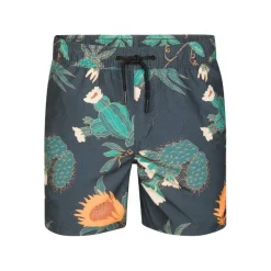 Bañadores Petrol Men Swimshort