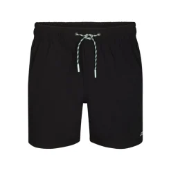 Bañadores Petrol Men Swimshort