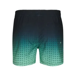 Bañadores Petrol Men Swimshort