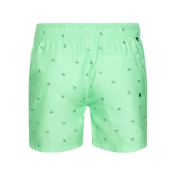 Bañadores Petrol Men Swimshort
