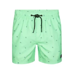 Bañadores Petrol Men Swimshort