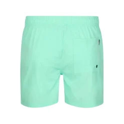 Bañadores Petrol Men Swimshort