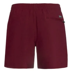 Bañadores Protest Davey Beachshort