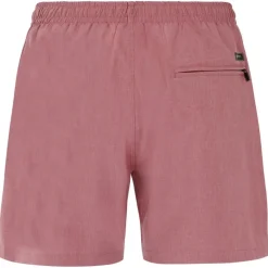 Bañadores Protest Davey Beachshort