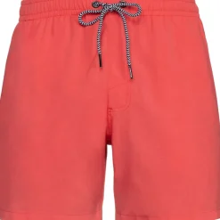 Bañadores Protest Davey Beachshort