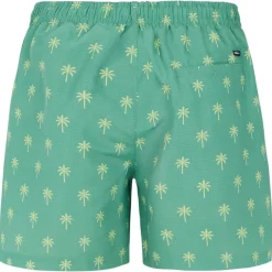 Bañadores Protest Prtalvis Beachshort
