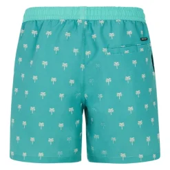Bañadores Protest Prtparco Beachshort