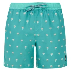 Bañadores Protest Prtparco Beachshort