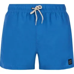 Bañadores Protest Prtstilo Beachshort