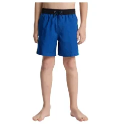 Bañadores Quiksilver Everyday Holmes Volley Yth 16 SMU