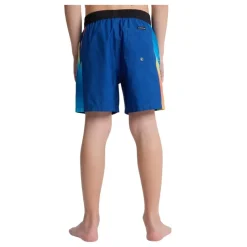 Bañadores Quiksilver Everyday Holmes Volley Yth 16 SMU