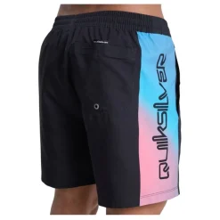 Bañadores Quiksilver Everyday Holmes Volley 16