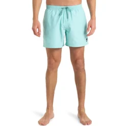 Bañadores Quiksilver Everyday Solid Volley 15