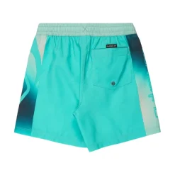 Bañadores Quiksilver Everyday Holmes Volley Yth 16 SMU