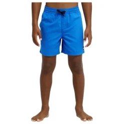 Bañadores Quiksilver Everyday Volley Yth 14