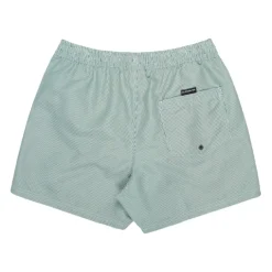 Bañadores Quiksilver Everyday Deluxe Volley 15