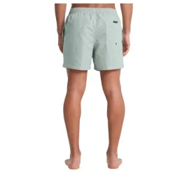 Bañadores Quiksilver Everyday Deluxe Volley 15