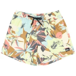 Bañadores Quiksilver Everyday Printed Volley 15