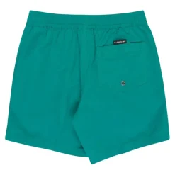 Bañadores Quiksilver Everyday Solid Volley Yth 14
