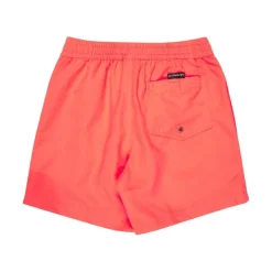 Bañadores Quiksilver Everyday Volley Yth 14