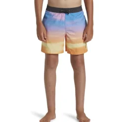 Bañadores Quiksilver Everyday Fade Volley Yth 14