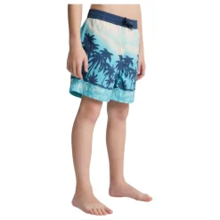 Bañadores Quiksilver Everyday Printed Volley Yth 14