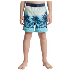 Bañadores Quiksilver Everyday Printed Volley Yth 14