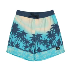 Bañadores Quiksilver Everyday Printed Volley Yth 14