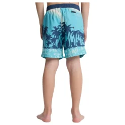 Bañadores Quiksilver Everyday Printed Volley Yth 14