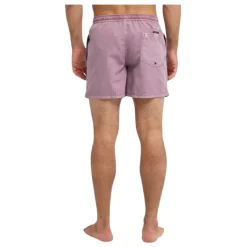 Bañadores Quiksilver Everyday Surfwash Volley 15