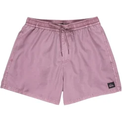 Bañadores Quiksilver Everyday Surfwash Volley 15