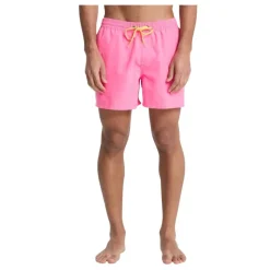 Bañadores Quiksilver Everyday Volley 15