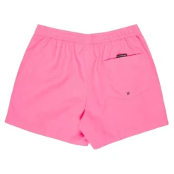 Bañadores Quiksilver Everyday Volley 15
