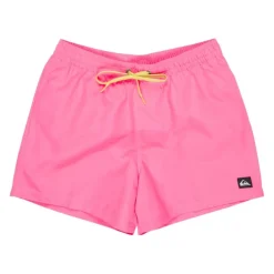 Bañadores Quiksilver Everyday Volley 15