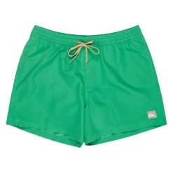 Bañadores Quiksilver Everyday Volley 15
