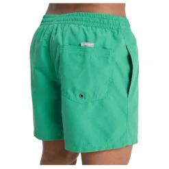Bañadores Quiksilver Everyday Volley 15
